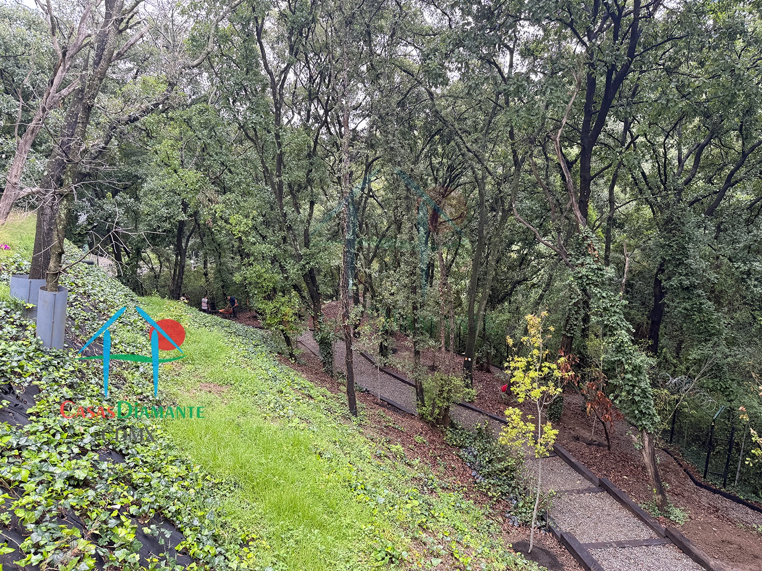 Acanto Ecos del Bosque - Jardines 4 Acanto Ecos del Bosque - Jardines 4